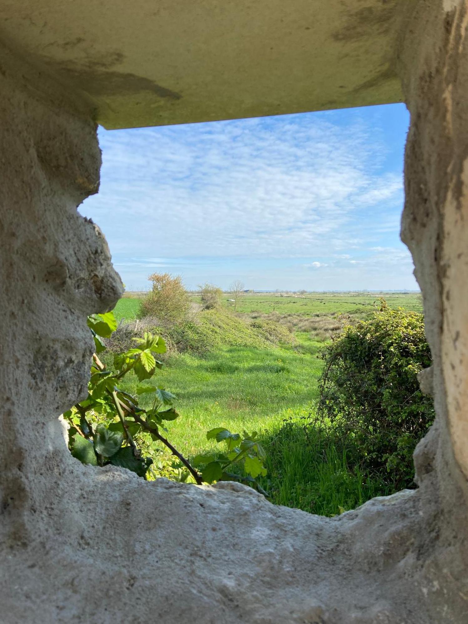 Chateau De Feusse Saint-Just-Luzac Kültér fotó
